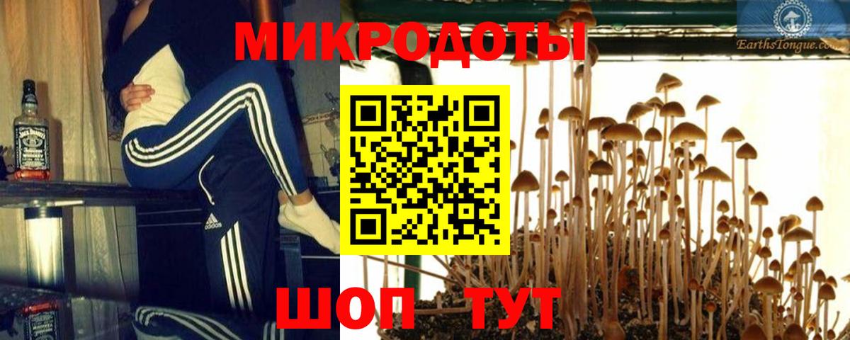 Псилоцибиновые грибы мухоморы Славгород