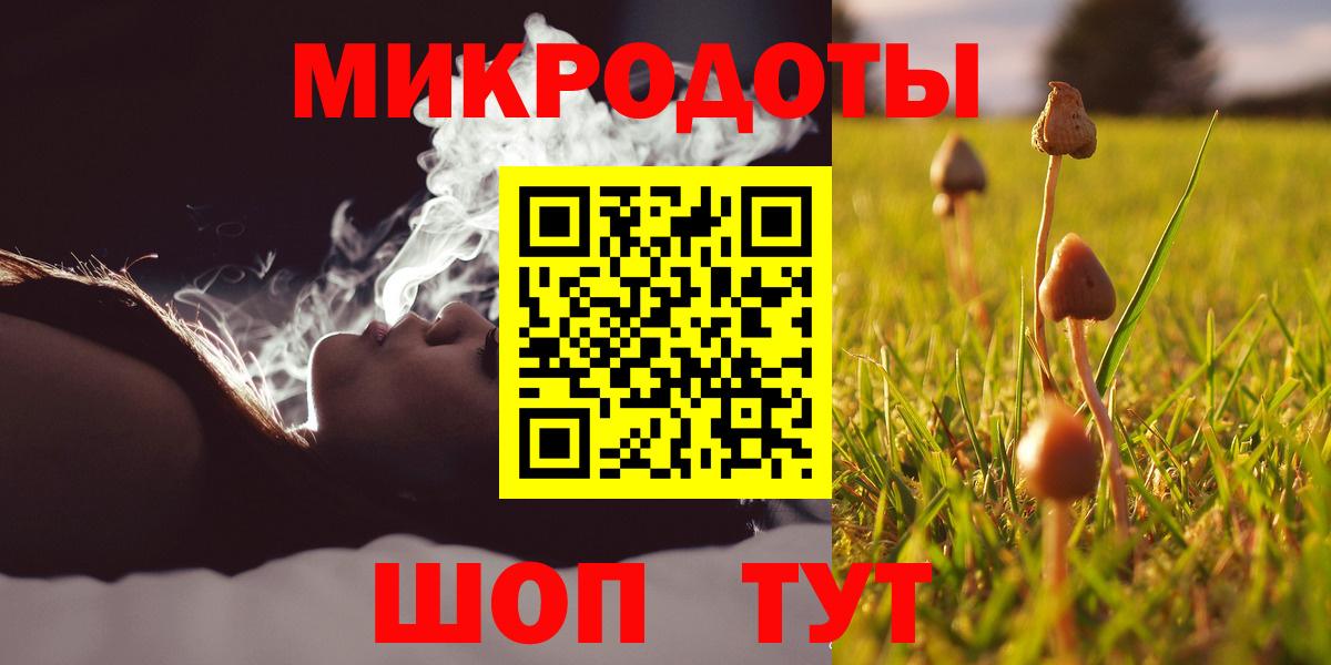Псилоцибиновые грибы Cubensis  Вход с VPN  Галлюциногенные грибы Psilocybine cubensis  Славгород 